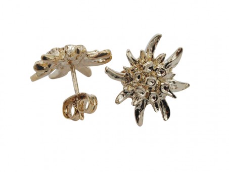 Clous d'oreille edelweiss or 6 paires. 