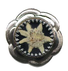Broche Edelweiss 25mm forme lisse. 