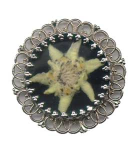 Broche Edelweiss 25mm filigrane ronde 