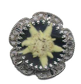 Spilla stella alpina 25mm forma fioritura filig.-1 pezzo/con 