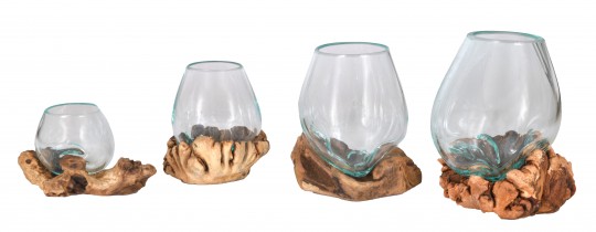 Acacia root wood glass vase assortement 12  piece 