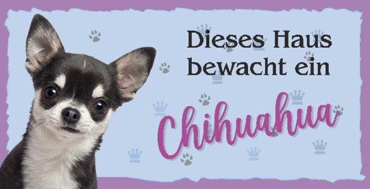 Tierschild Chihuahua weiß 3 Stück 