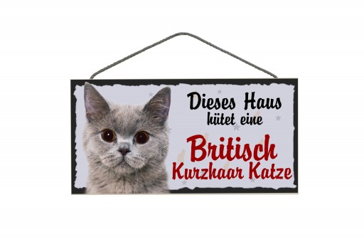 Tierschild Britische Kurzhaar Katze 3 Stück 