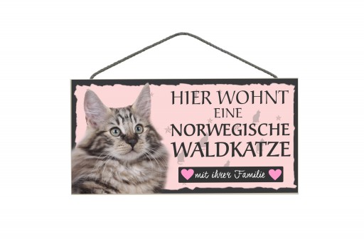 Tierschild Norwegische Waldkatze 3 Stück 