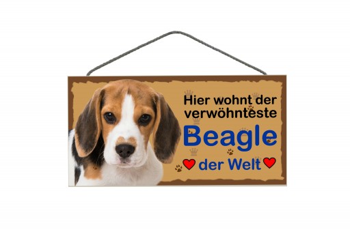 Tierschild Beagle 3 Stück 