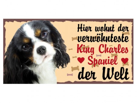 Magnet Tierschild King Charles Spaniel 3 Stück 