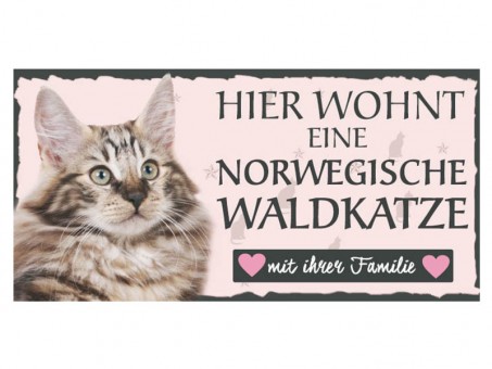 Magnet Tierschild Norwegische Waldkatze 3 Stück 