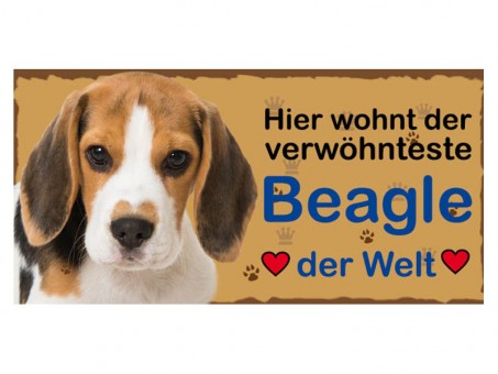 Magnet Tierschild Beagle 3 Stück 
