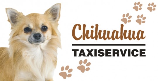 Tier Autoaufkleber Chihuahua 5 Stk 