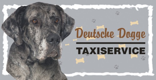 Tier Autoaufkleber Deutsche Dogge 5 Stk 