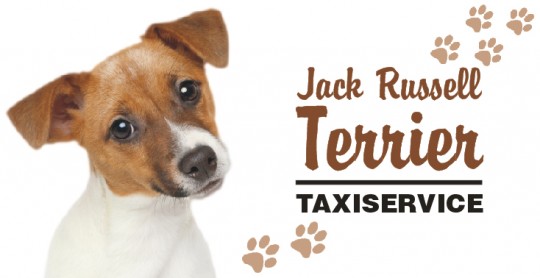 Tier Autoaufkleber Jack Russell Terrier 5 Stk 