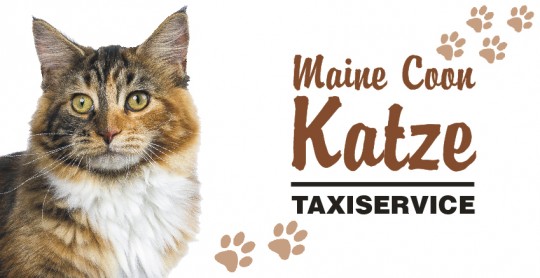 Tier Autoaufkleber Maine Coon Katze 5 Stk 