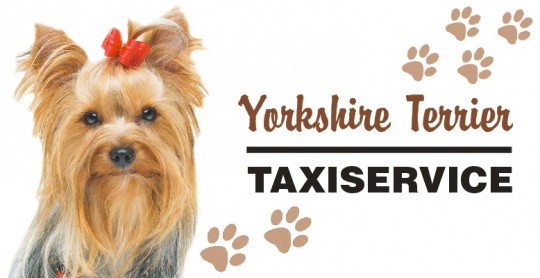 Tier Autoaufkleber Yorkshire Terrier 5 Stk 