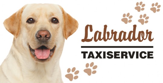 Tier Autoaufkleber Labrador weiß 5 Stk 