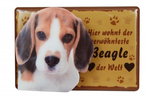 Tier Magnetzettelhalter Beagle 4 Stk 